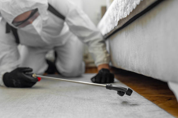 Professional Fumigation Services technician working in Garland, UT