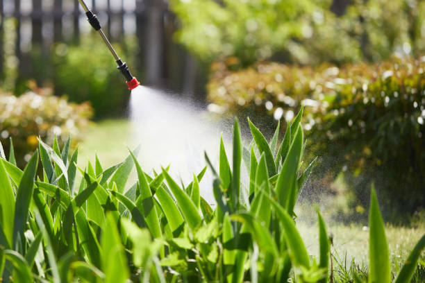 24/7 Emergency Fumigation Services experts in Garland, UT