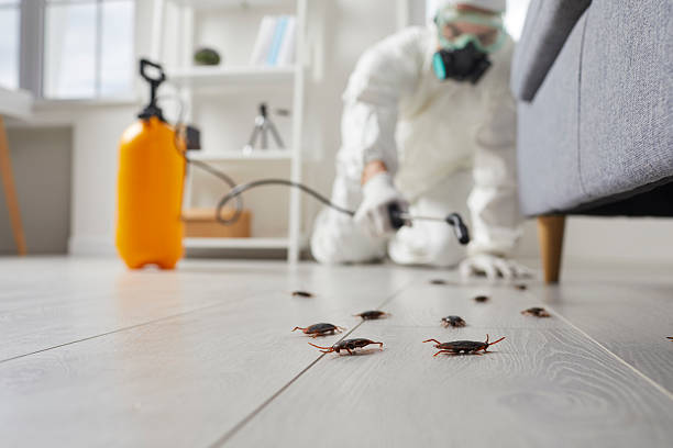 Trusted Fumigation Services service in Garland, UT - Nex Pest Control