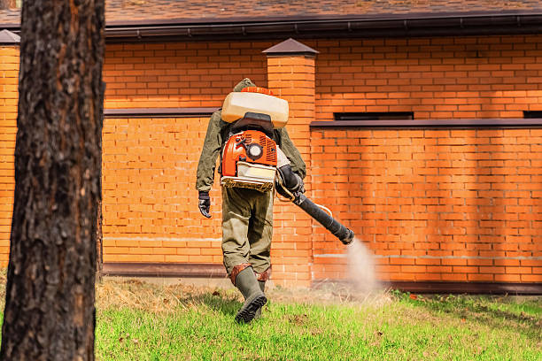 Trusted Rodent Control service in Garland, UT - Nex Pest Control